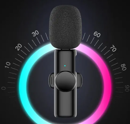 Mini Mic ( 2 Stück)
